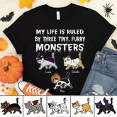 My life is ruled by a tiny, furry Monster Halloween personalized T-Shirt TS-TU205