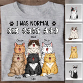 I Was Normal 6 Cats Ago Funny Personalized T-shirt TS-NB2380