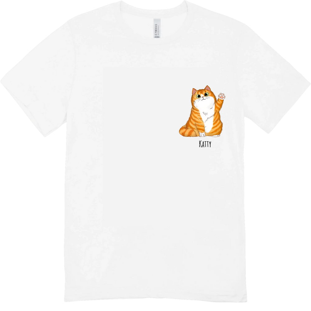 689219572baae_preview