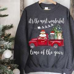 Happy Furry Babies On A Red Truck Personalized Cat T-Shirt TS-PT565