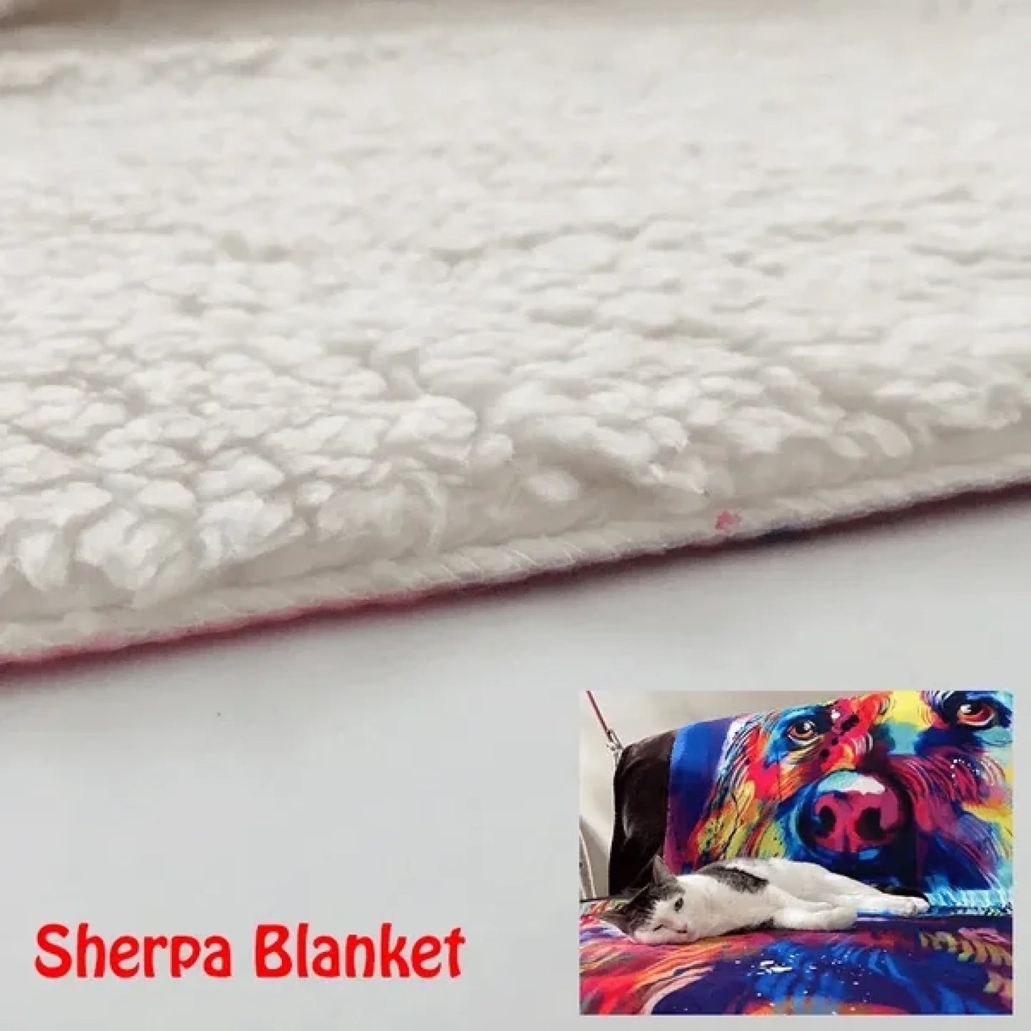 61a9ca20437c9_large