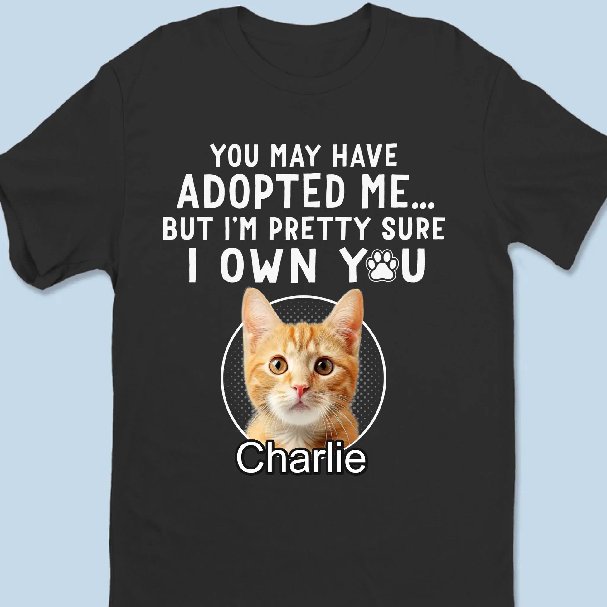 66b1d2fe3fb5a_large