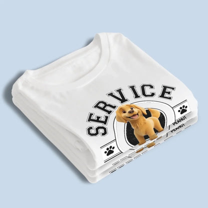 67bd50029319f_large