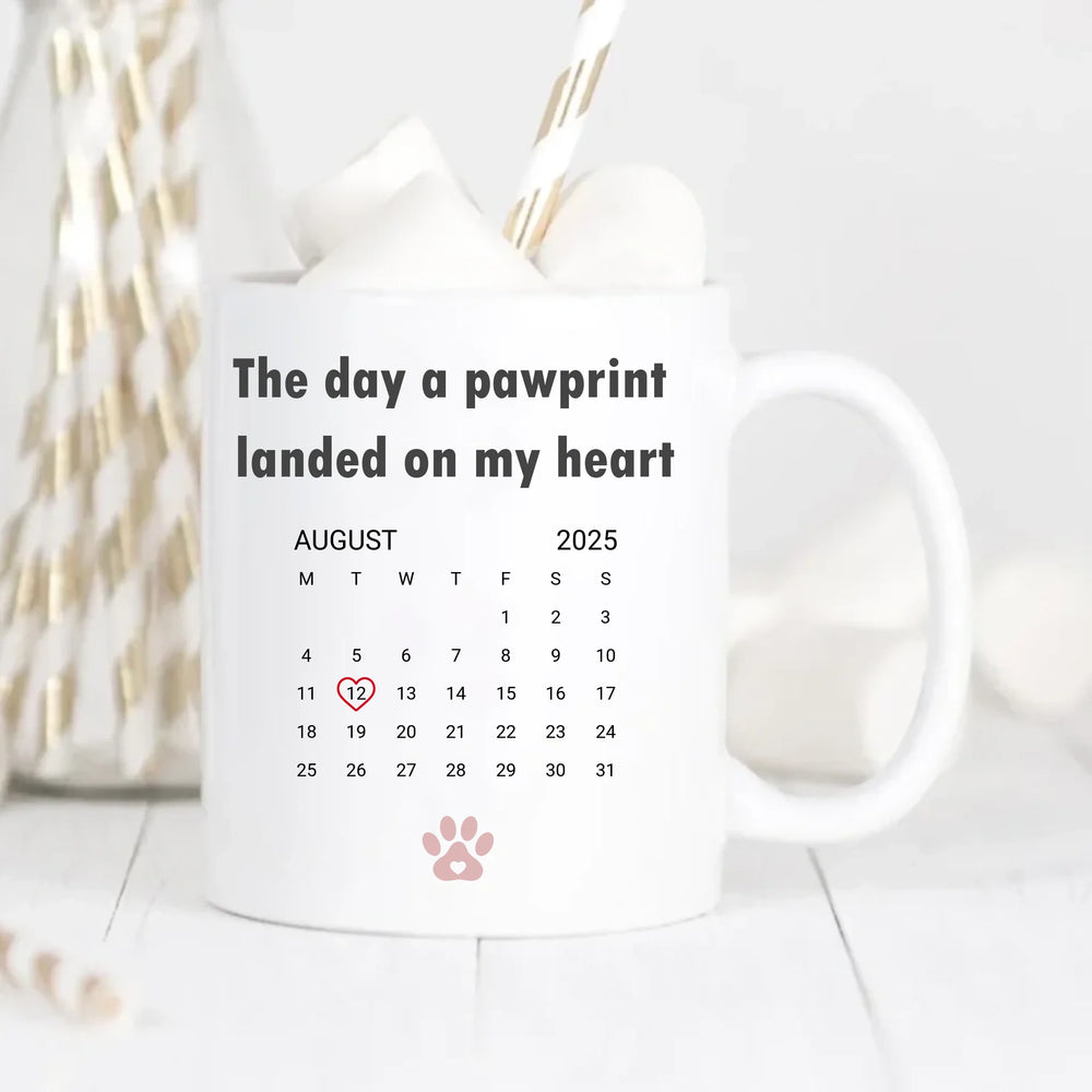 681c9e9639161_preview